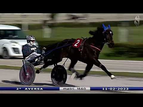 Aversa trotto 11 Febbraio 2023 - 2° Corsa