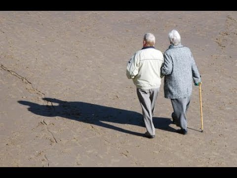 PROLONGE LA VIE - Rav Nathan Uzan QQ MN DE TORAH  SEFER HAMIDOT suivant RABBI NAHMAN