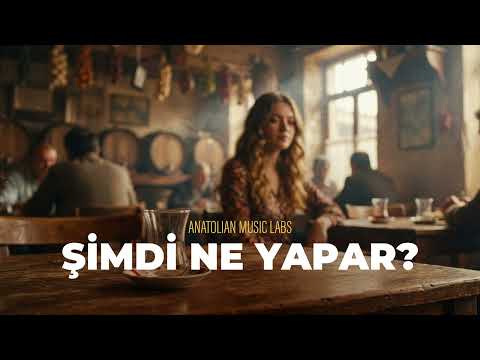 What Will He Do Now? | Psychedelic Anatolian Rock Cover