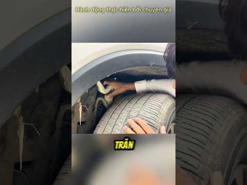 Con Trăn Khổng Lồ Chui Vào Xe Và Cách Xử Lý #thếgiớiđộngvật