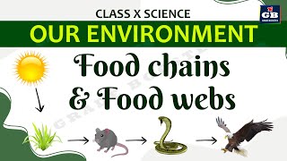 Our Environment Part-2 | CBSE Class 10 Science (Biology) Explanation | Food chains & Food Web |NCERT