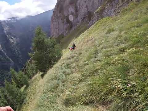 Din creasta in coborare pe Braul Mare al Morarului din Bucegi