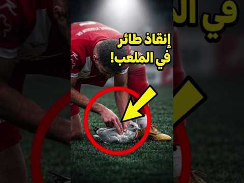أنقذ حياته في وسط ملعب كرة القدم 😱