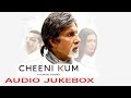 Cheeni Kum | Audio JukeBox | Amitabh Bachchan & Tabu