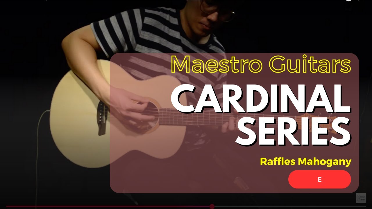 Maestro Cardinal RAFFLES MH Acoustic Electric Guitar w/Gigbag