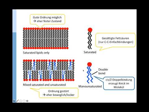 CH8  Biochemie: Zellmembran