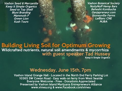 Building Living Soil for Optimum Cannabis Growing