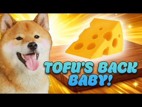 Tofu's Back Baby!