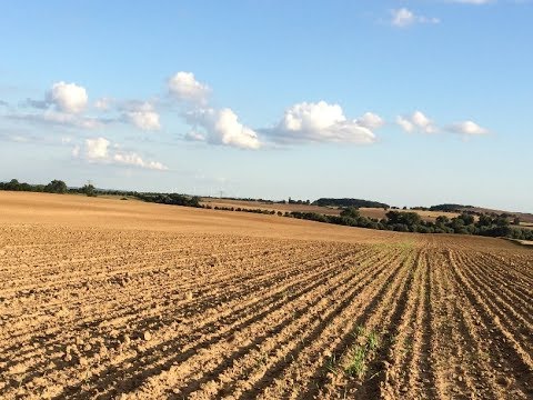 111. Feldexkursion: Die letzten Maßnahmen vor Vegetationsende - NU Agrar, 24.10.2018