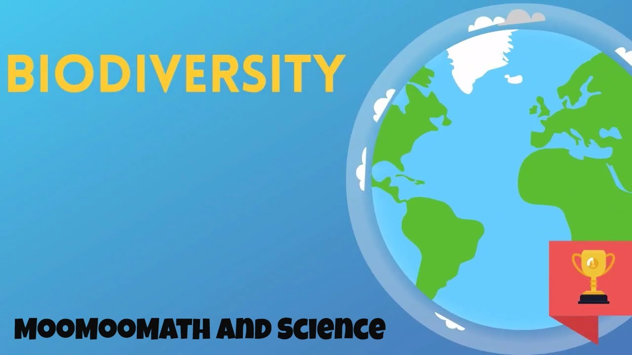 What is biodiversity and its 3 types?