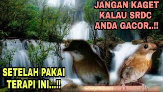 Download lagu BEDAH MATERI..!!TERAPI SRDC BIAR CEPAT BUNYI, TERAPI SRDC MACET BUNYI,TERAPI SRDC GEMRICIK AIR mp3 Download lagu BEDAH MATERI..!!TERAPI SRDC BIAR CEPAT BUNYI, TERAPI SRDC MACET BUNYI,TERAPI SRDC GEMRICIK AIR mp3