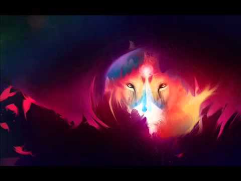 Mad Noise Project   OPEN SUMMER 2013