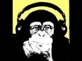 Nu-Jazz: Quantic - Transatlantic