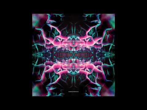 Schacke - Confused By What Is Real [S-IN001]