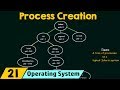 Operation On Processes Process Creation