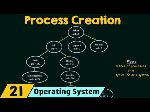 Learn Operation on Processes – Process Creation - Mind Luster