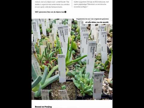 Botanische tuin Zuidas