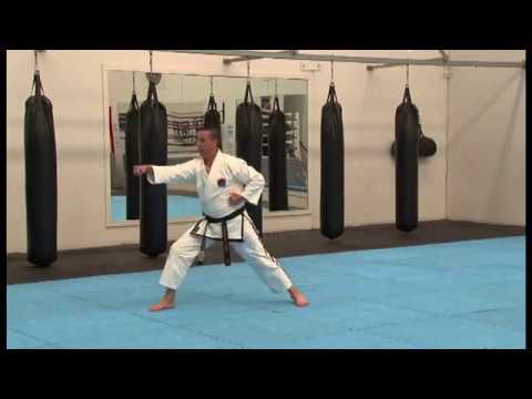 Grade 10 - White Belt Pattern - Saju Jirugi (R)