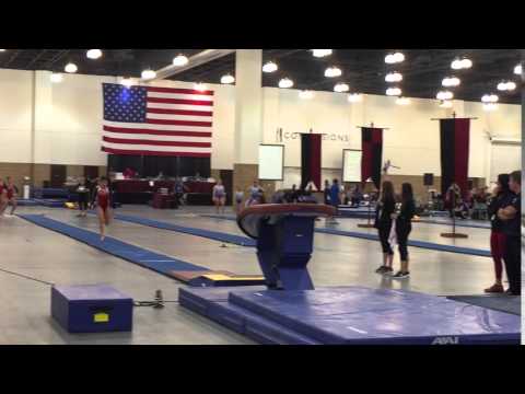 Hannah Nipp Level 10 Vault - 2016 Waller's Heart of a Champion Invitational