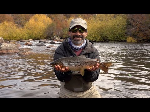 Patagonia Fall Colors Part 2