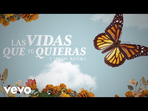 Miniatura de Las Vidas Que T&uacute; Quieras