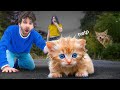 I RESCUED An Abandoned Kitten From A COYOTE ATTACK