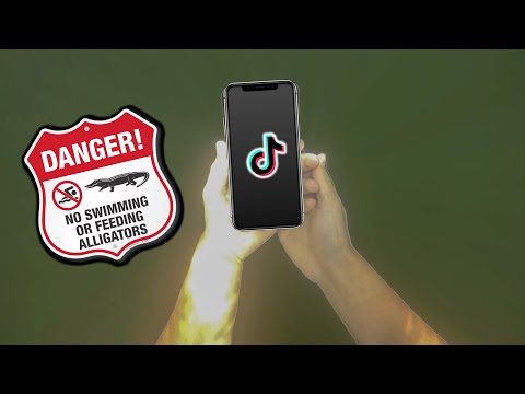 Diving Alligator Infested Waters For Hidden Treasure