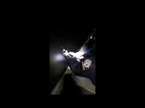 Noćna akcija Tamiš, proleće 2020