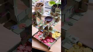 Board Game Sanctuary - Vines and Flowers video thumbnail