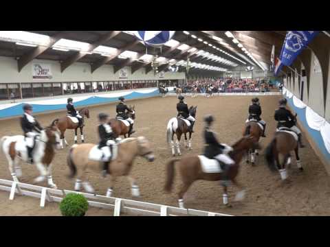 NK carrousel 2016 - Capelse Manege Pony's