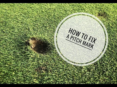 How To: Fix a Pitch Mark