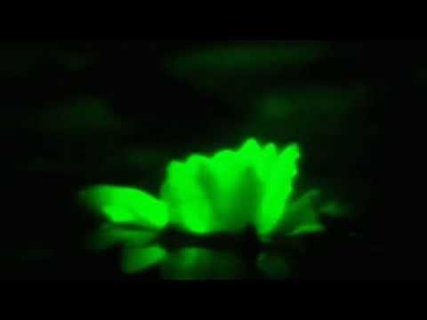 Pablo Und Destruktion - Aire Puro (Video no oficial)/2014