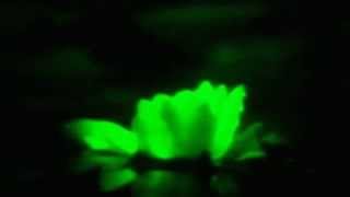 Pablo Und Destruktion - Aire Puro (Videoclip)