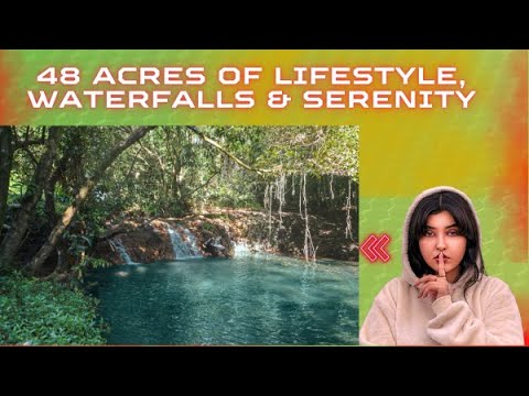 144 Donkin Road, Utchee Creek, QLD 4871, 0房, 1浴, 独立屋