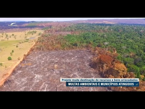 Debatedores se dividem quanto à destinação de multas ambientais