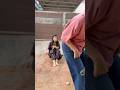 Kannada Comedy Kannada Kannadacomedy Kannadanews Dboss Shorts Shortsvideo Funny Comedy Fun