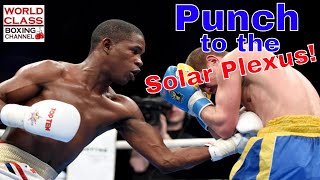 Boxing Video Series | Vital Targets | Punch to the Solar Plexus