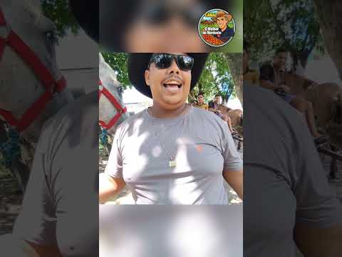 Feira de Cavalo de Abreu e Lima-PE Sábado:05/09/26 #feira #cavalo #horse