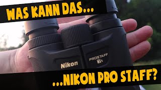 Fernglas Nikon Prostaff 7S Erfahrungen | Survival Ausrüstung