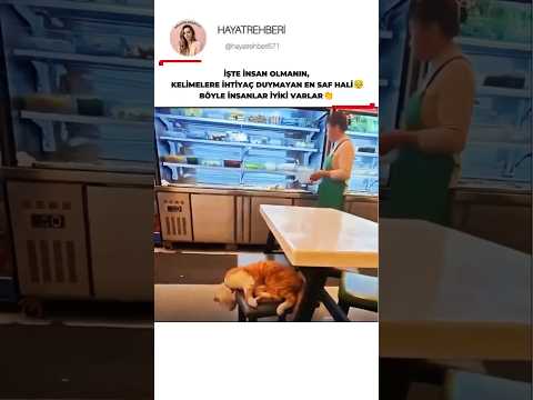 Dünyayı Güzelleştiren Şefkat anı🥹İçiniz Isınacak! ❤️ #shorts#anlamlıgüzelvideolar #hayatrehberi571
