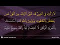 Surah Al Baqarah Ayat 256 Free Download Music Mp3 and Mp4