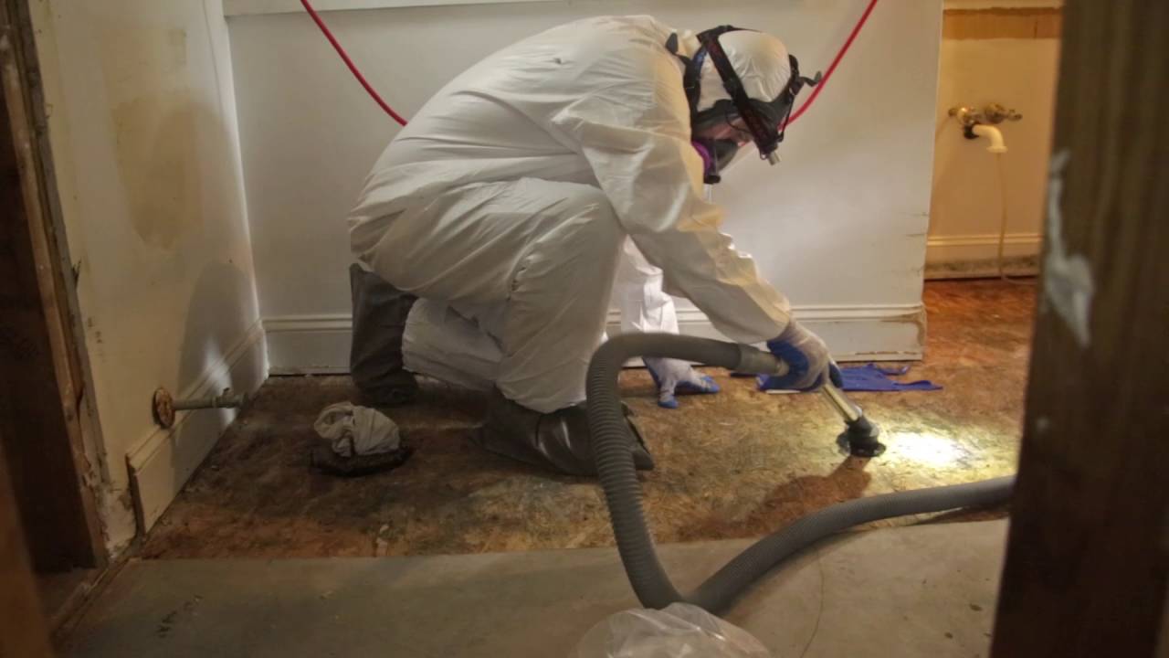 Remtech Environmental Residential Environmental Services