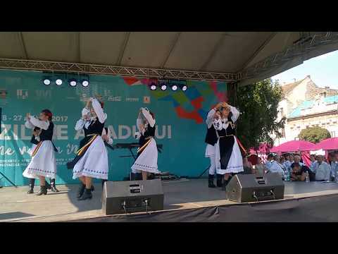 ZILELE ARADULUI 2017  PIATA AVRAM IANCU - CRAISORII MOTILOR