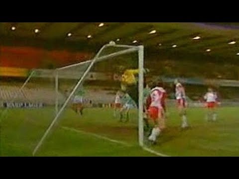 [482] Irlandia Płn v Polska [05/02/1991] Nothern Ireland v Poland