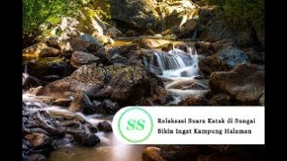Download lagu Relaksasi Suara Katak di Sungai, Bikin Ingat Kampung Halaman mp3 Download lagu Relaksasi Suara Katak di Sungai, Bikin Ingat Kampung Halaman mp3