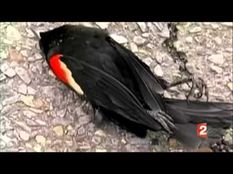 Image de prévisualisation YouTube