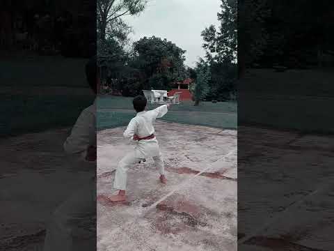 Heian Sandan Kata | Hayashi Ha Karate