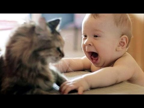 Cat Playing with Baby - Best of Cute Cats Love Babies Compilation