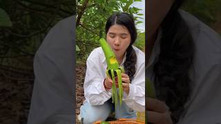 Download lagu cara makan buah alpukat #buah #avocado #alpukat #buahalpukat #panenbuah #buahbuahan #alpukataligator mp3 Download lagu cara makan buah alpukat #buah #avocado #alpukat #buahalpukat #panenbuah #buahbuahan #alpukataligator mp3
