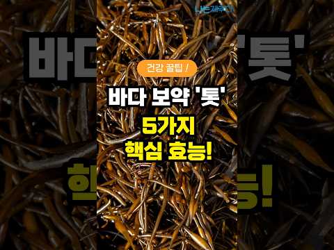 [만제영어조합법인] 김녕해녀마을 제주 자연산 생생 톳 200g